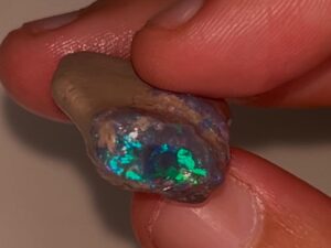 29ct LR Gem Quality Black Nobby