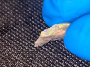 5ct Lightning Ridge Multi Color Seam Opal on Dark/Black